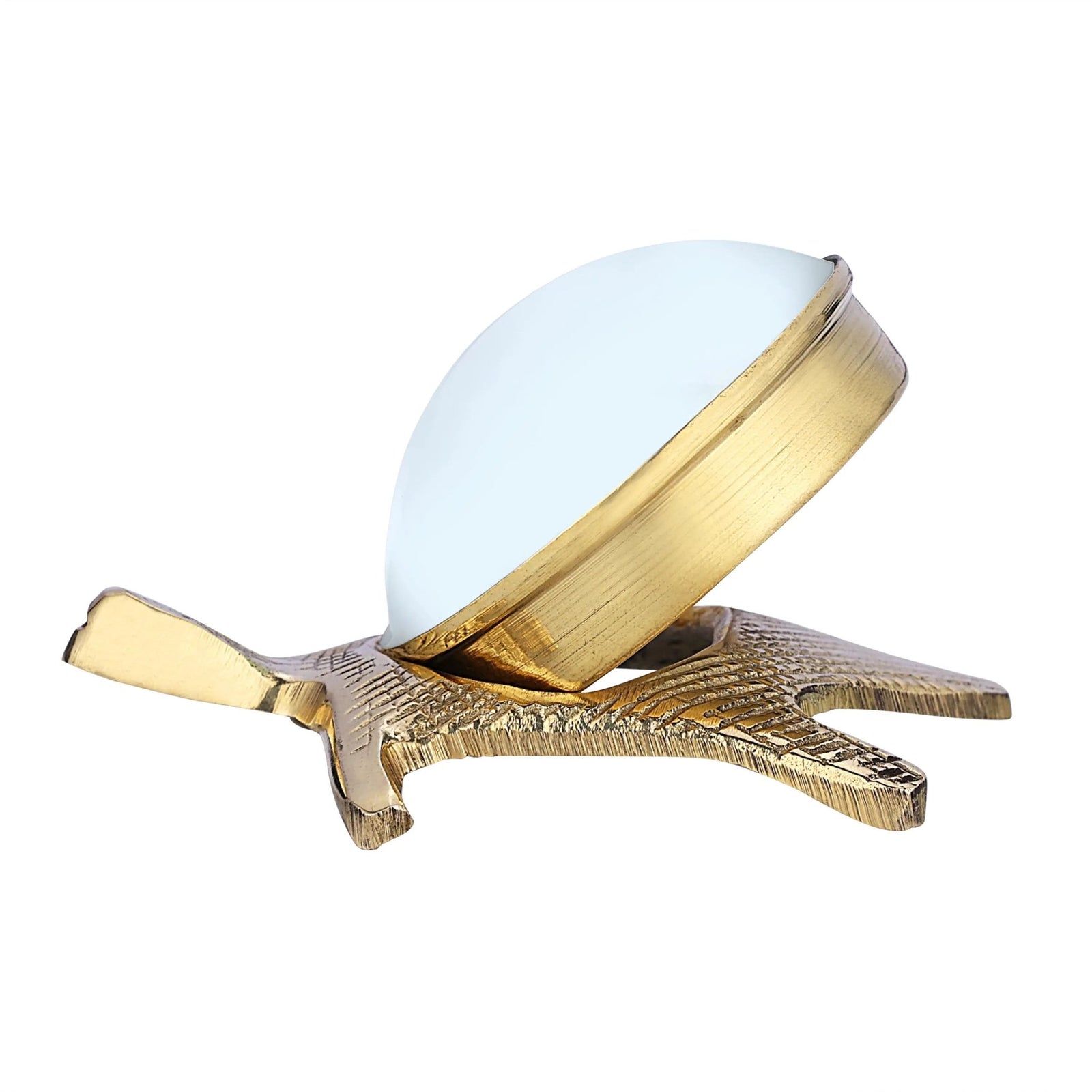 Brass Tortoise Yantr for Prosperity and Protection - CROCKERY WALA AND COMPANY