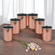Copper Glass Set of 6 Outer Copper Inner Steel Tumblers